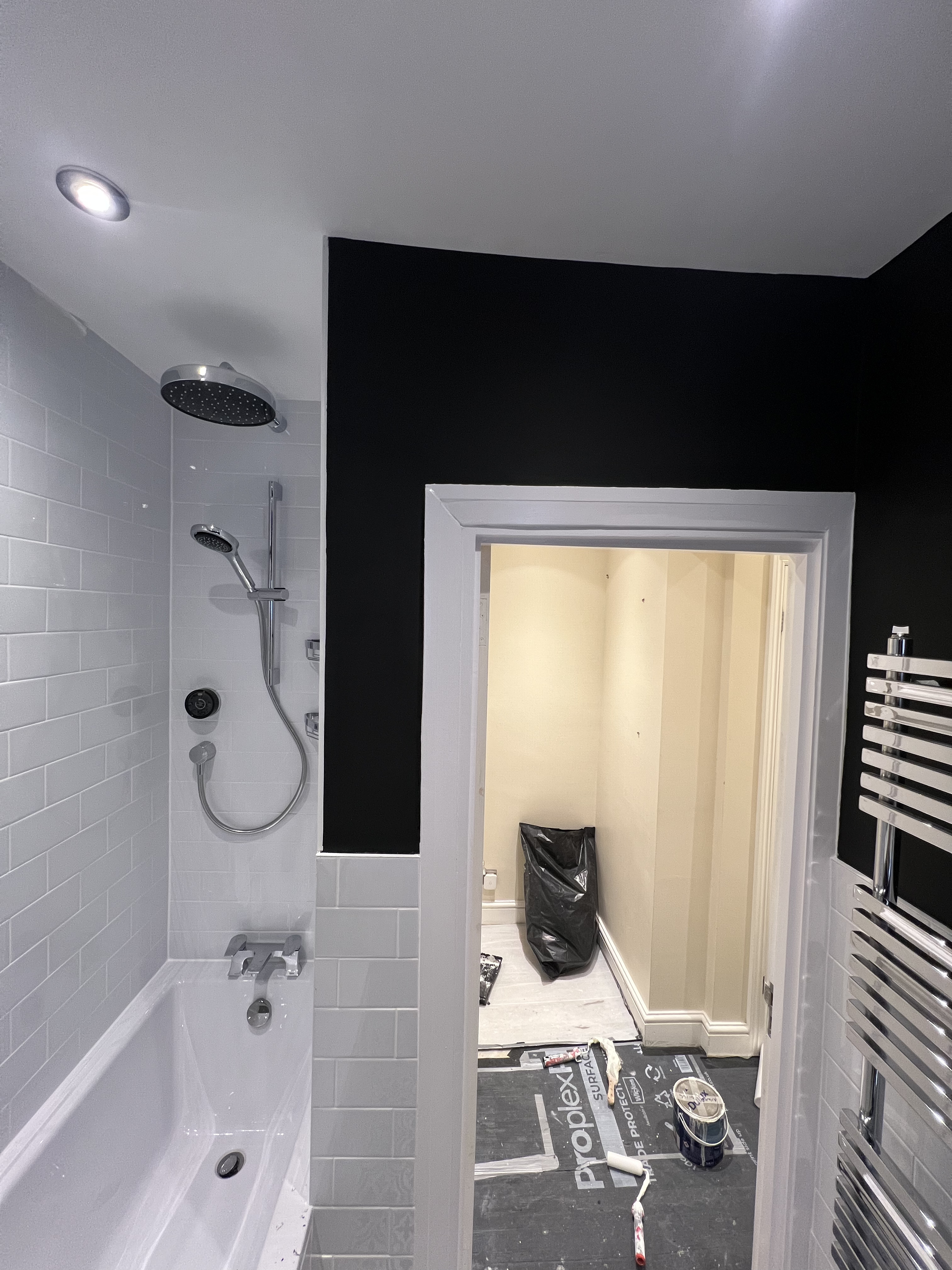 Guest bathroom